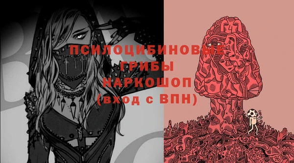 Альфа ПВП Лагань